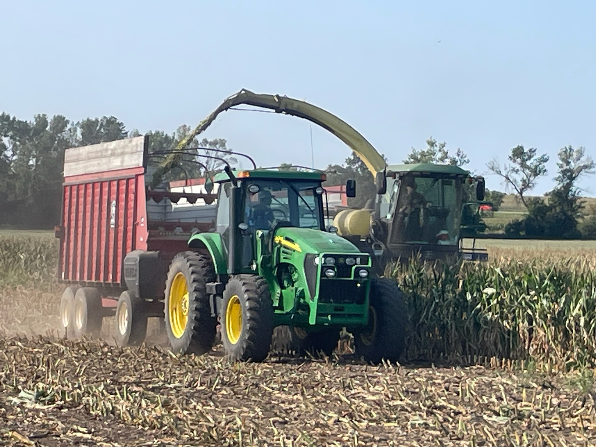 Dale Chopping Corn